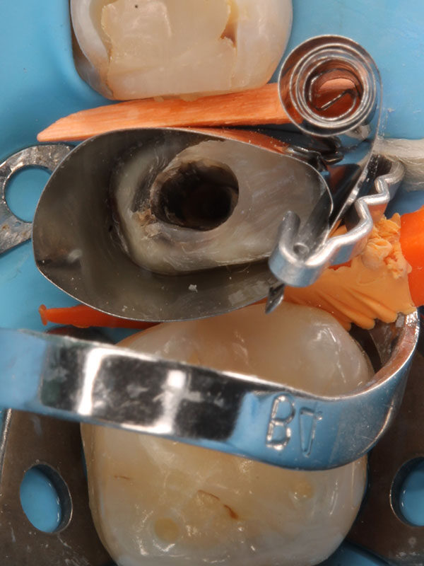 Dra. Esther Labrador Ortiga