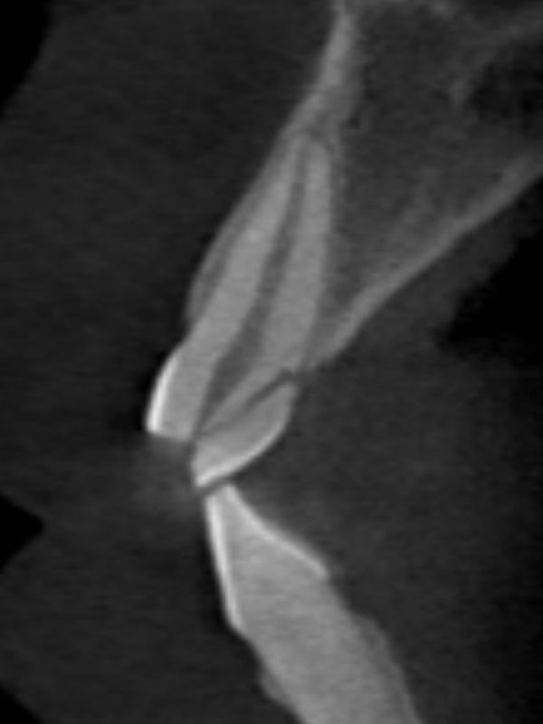 Dra. Esther Labrador Ortiga