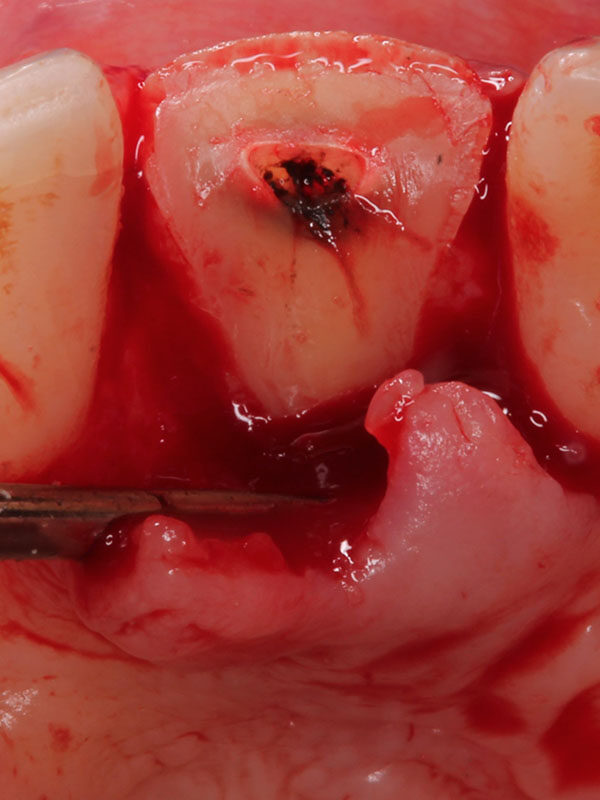 Dra. Esther Labrador Ortiga