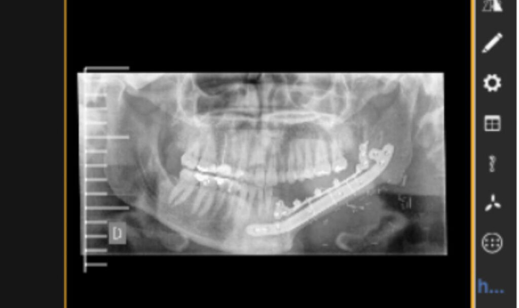 Dra. Julia Blasco Palacio